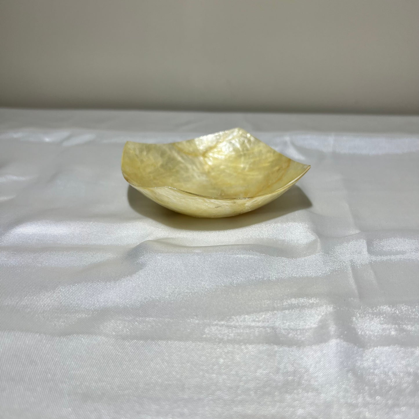 Schaaltje schelp vierkant